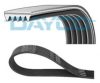 ALFA 55240004 V-Ribbed Belts